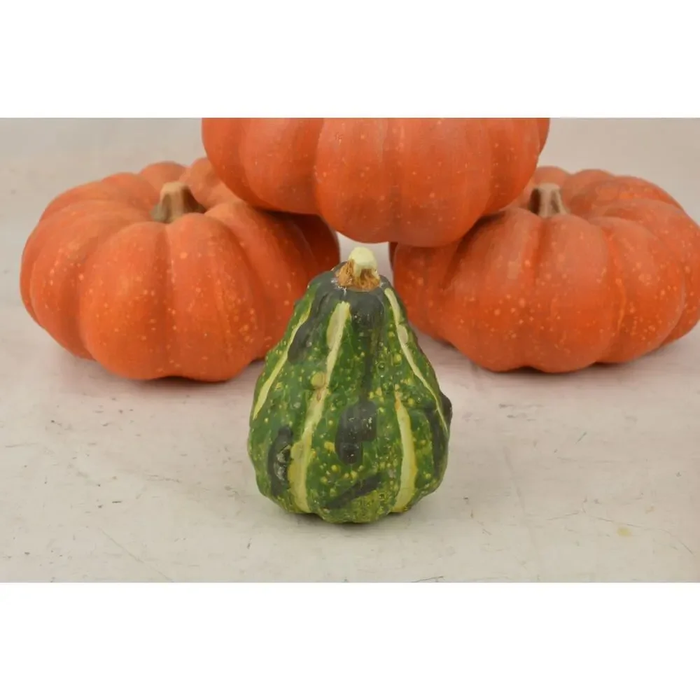 Pier 1 Fall Halloween Decor Lot Pumpkins Gourds Corn Witch Doll Autumn Harvest